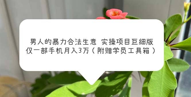 男人的暴力合法生意实操项目巨细版：仅一部手机月入3w（附赠学员工具箱）-云阁资源网