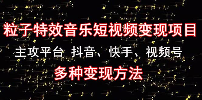 《粒子特效音乐短视频变现项目》主攻平台 抖音、快手、视频号 多种变现方法-云阁资源网