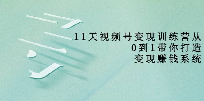 好望角·11天视频号变现训练营，从0到1打造变现赚钱系统（价值398）-云阁资源网