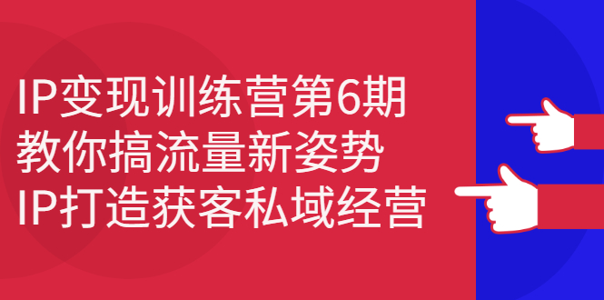 IP变现训练营第6期：教你搞流量新姿势，IP打造获客私域经营-云阁资源网