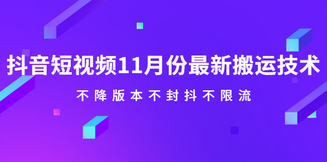 抖音短视频11月份最新搬运技术，不降版本不封抖不限流！【视频课程】-云阁资源网