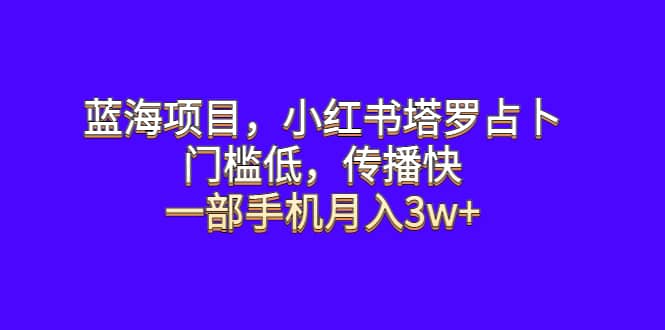 蓝海项目，小红书塔罗占卜，门槛低，传播快，一部手机月入3w+-云阁资源网