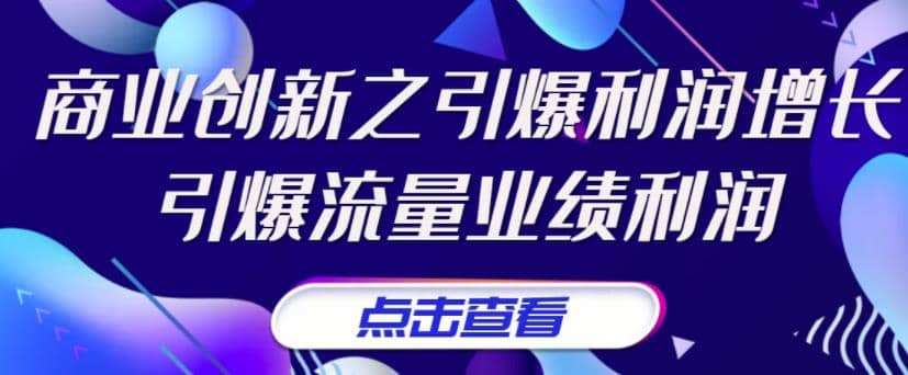《商业创新之引爆利润增长》引爆流量业绩利润-云阁资源网