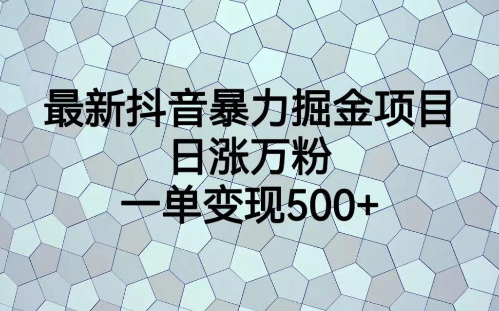 最火热的抖音暴力掘金项目，日涨万粉，多种变现方式，一单变现可达500+-云阁资源网