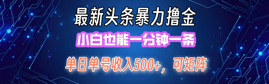 最新头条撸金，小白也能一分钟一条-云阁资源网