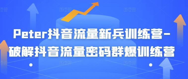 Peter抖音流量新兵训练营-破解抖音流量密码群爆训练营（新兵）-云阁资源网