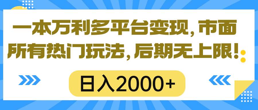 一本万利多平台变现，市面所有热门玩法，日入2000+，后期无上限！-云阁资源网