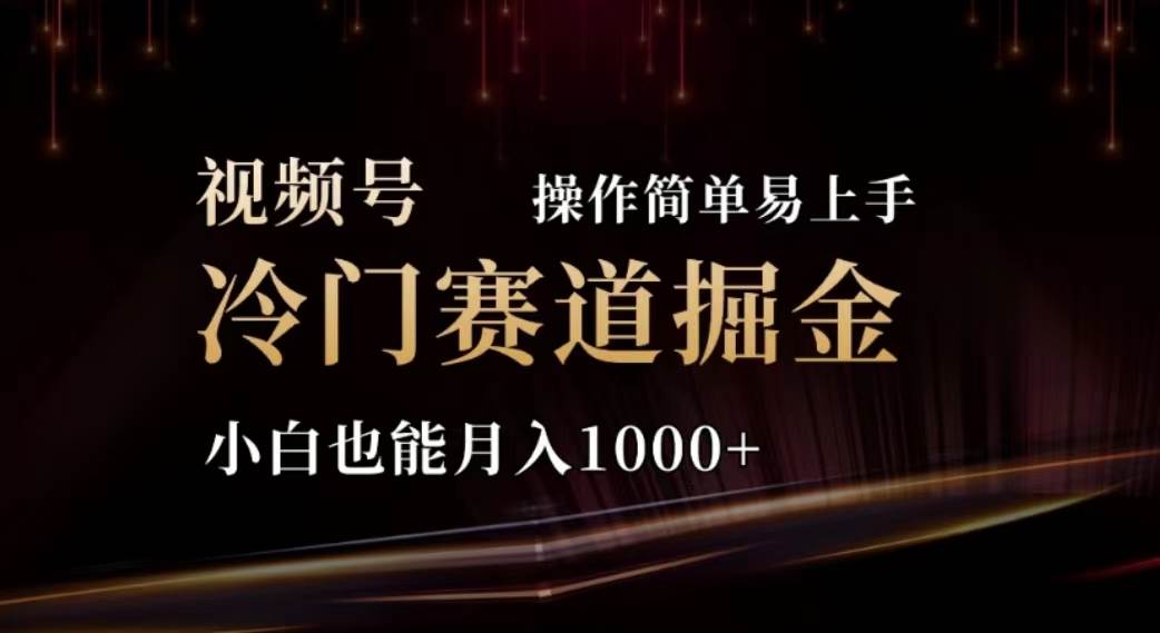 2024视频号冷门赛道掘金，操作简单轻松上手，小白也能月入1000+-云阁资源网
