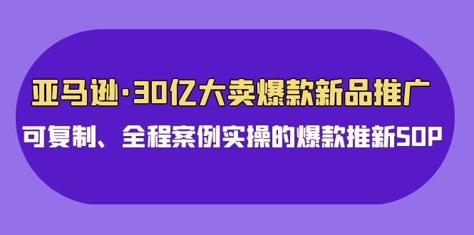 亚马逊30亿·大卖爆款新品推广，可复制、全程案例实操的爆款推新SOP-云阁资源网