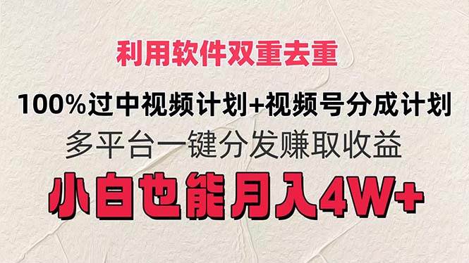 利用软件双重去重，100%过中视频+视频号分成计划小白也可以月入4W+-云阁资源网