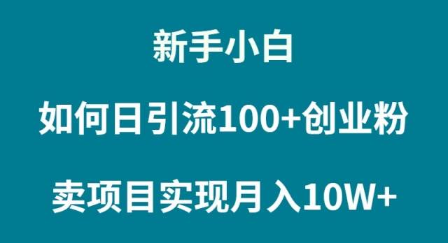 新手小白如何通过卖项目实现月入10W+-云阁资源网