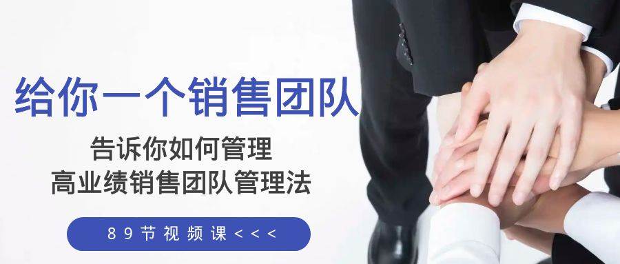 给你一个销售团队，告诉你如何管理，高业绩销售团队管理法（89节课）-云阁资源网