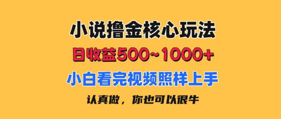 小说撸金核心玩法，日收益500-1000+，小白看完照样上手，0成本有手就行-云阁资源网