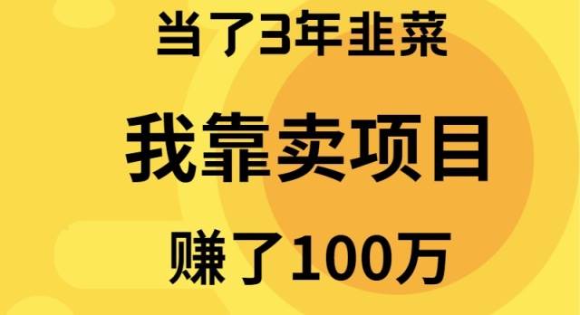 当了3年韭菜，我靠卖项目赚了100万-云阁资源网