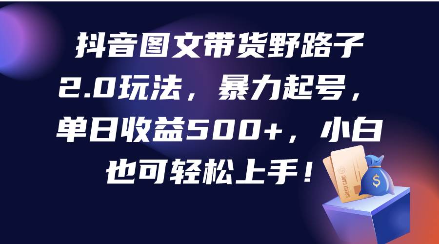 抖音图文带货野路子2.0玩法，暴力起号，单日收益500+，小白也可轻松上手！-云阁资源网