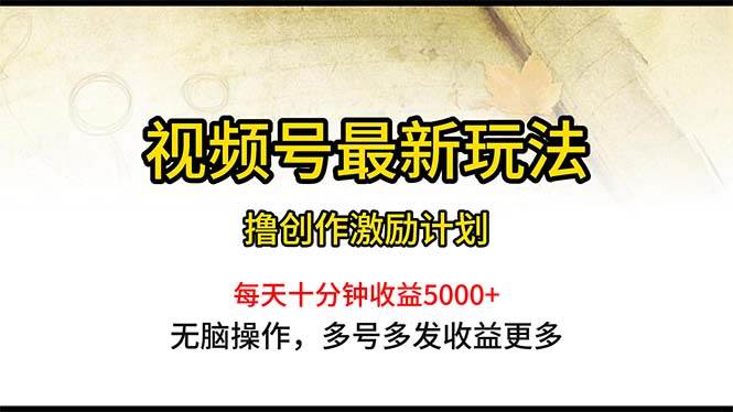 视频号最新玩法，每日一小时月入5000+-云阁资源网