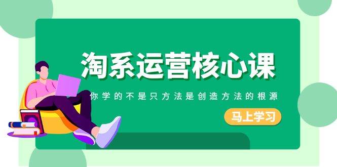 淘系-运营核心课，你学的不是只方法是创造方法的根源（190节课）-云阁资源网