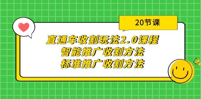 直通车收割玩法2.0课程：智能推广收割方法+标准推广收割方法（20节课）-云阁资源网
