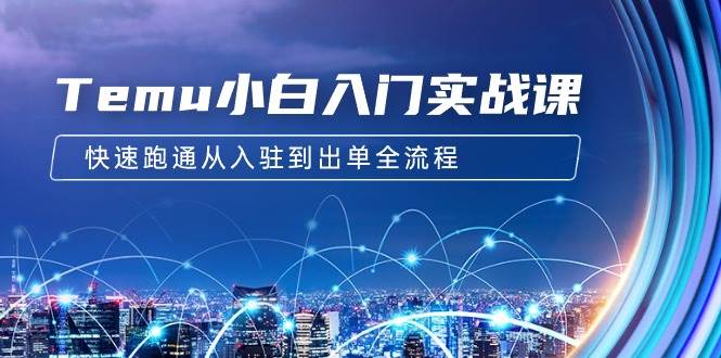 Temu小白入门实战课：跨境拼多多电商培训 快速跑通从入驻到出单全流程-12节-云阁资源网