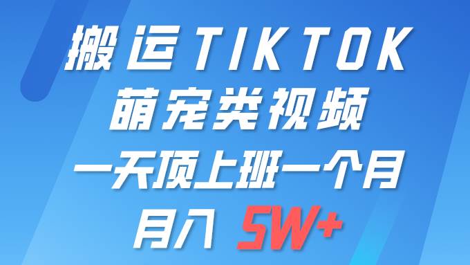 一键搬运TIKTOK萌宠类视频 一部手机即可操作 所有平台均可发布 轻松月入5W+-云阁资源网