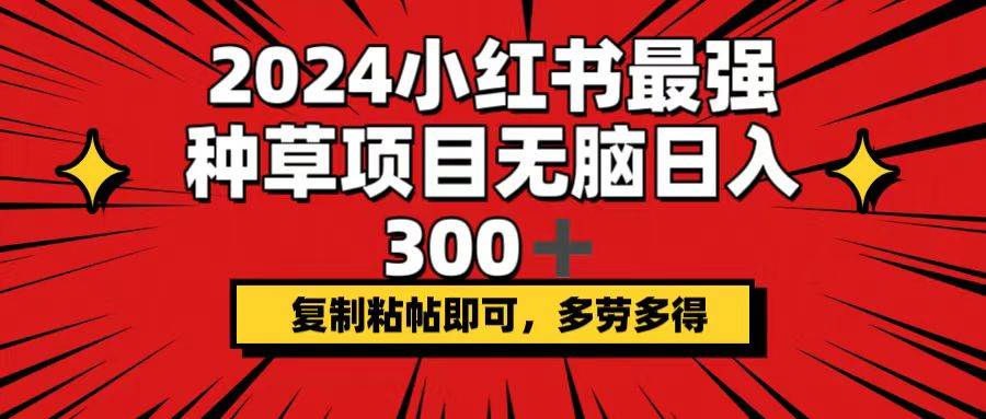 2024小红书最强种草项目，无脑日入300+，复制粘帖即可，多劳多得-云阁资源网