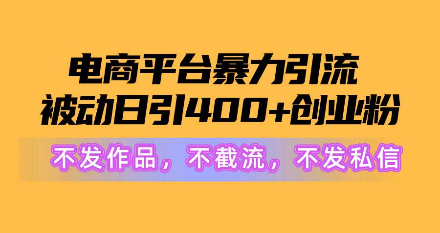 电商平台暴力引流,被动日引400+创业粉不发作品，不截流，不发私信-云阁资源网