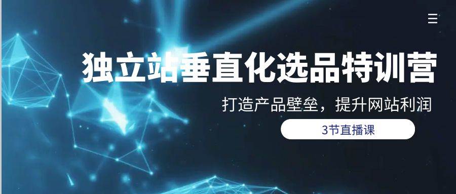 独立站-垂直化选品训练营，打造产品壁垒，提升网站利润（3节直播课）-云阁资源网