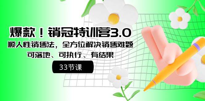 爆款！销冠特训营3.0之顺人性销售法，全方位解决销售难题、可落地、可执行、有结果-云阁资源网