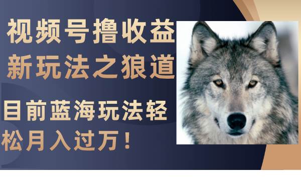 视频号撸收益新玩法之狼道，目前蓝海玩法轻松月入过万！-云阁资源网