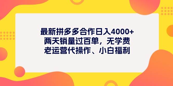 最新拼多多项目日入4000+两天销量过百单，无学费、老运营代操作、小白福利-云阁资源网