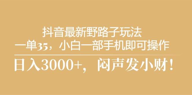 抖音最新野路子玩法，一单35，小白一部手机即可操作，，日入3000+，闷…-云阁资源网