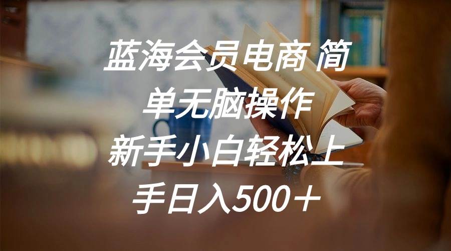 蓝海会员电商 简单无脑操作 新手小白轻松上手日入500＋-云阁资源网