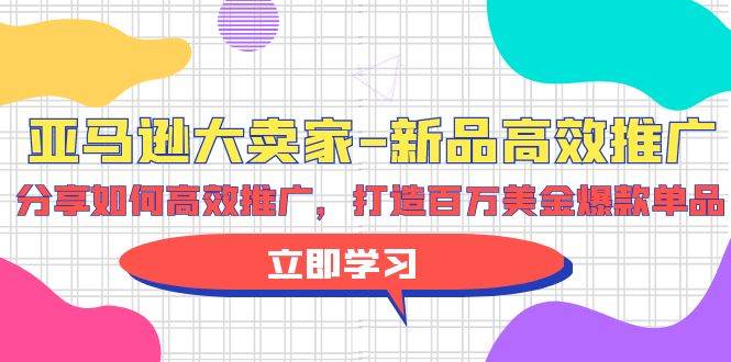 亚马逊 大卖家-新品高效推广，分享如何高效推广，打造百万美金爆款单品-云阁资源网