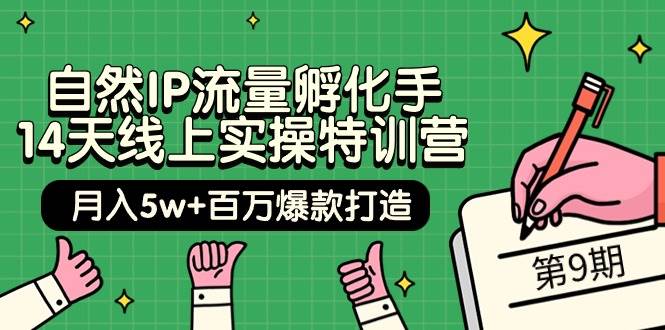 自然IP流量孵化手 14天线上实操特训营【第9期】月入5w+百万爆款打造 (74节)-云阁资源网
