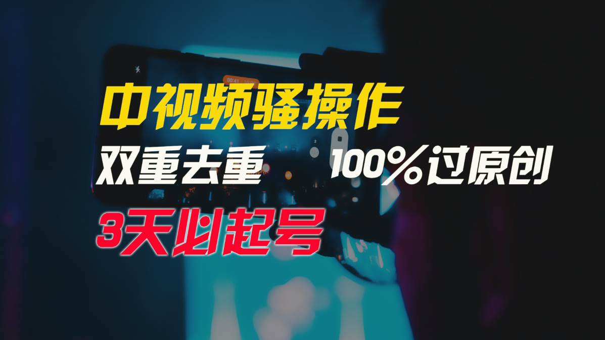 中视频骚操作，双重去重100%过原创，3天比必起号，简单无脑，月入3W+-云阁资源网