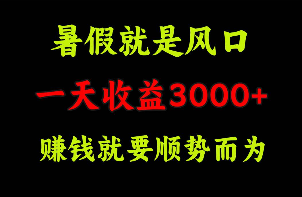 一天收益3000+ 赚钱就是顺势而为，暑假就是风口-云阁资源网
