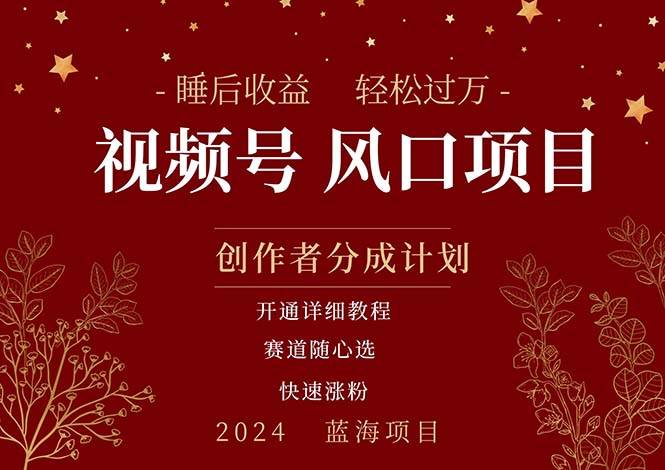 拥有睡眠收益的微信视频号大风口项目，轻松月入过万+，多赛道选择，可…-云阁资源网