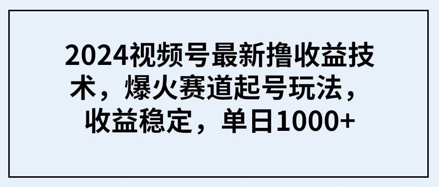 2024视频号最新撸收益技术，爆火赛道起号玩法，收益稳定，单日1000+-云阁资源网