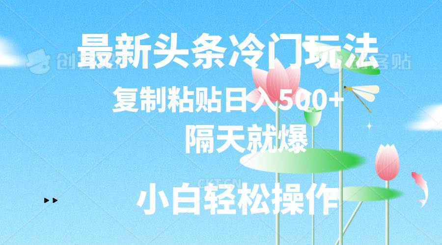 最新头条冷门玩法，隔天就爆，复制粘贴日入500+-云阁资源网