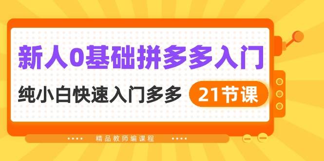 新人0基础拼多多入门，纯小白快速入门多多（21节课）-云阁资源网