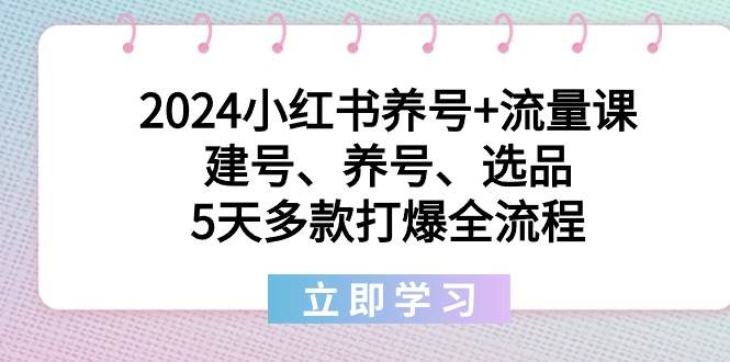 2024小红书养号+流量课：建号、养号、选品，5天多款打爆全流程-云阁资源网