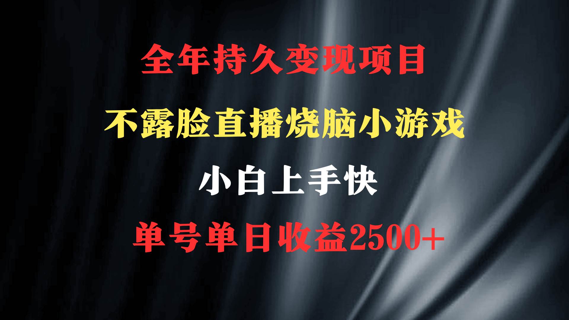 2024年 最优项目，烧脑小游戏不露脸直播  小白上手快 无门槛 一天收益2500+-云阁资源网