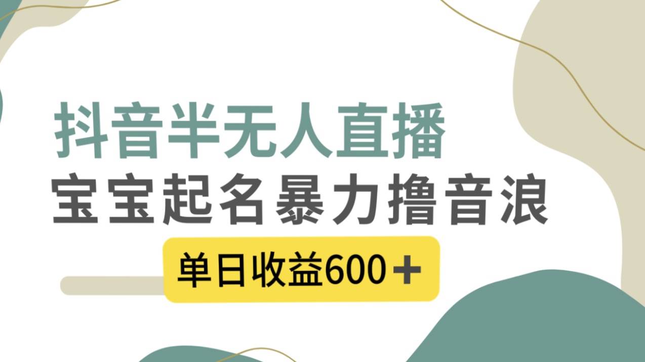 抖音半无人直播，宝宝起名，暴力撸音浪，单日收益600+-云阁资源网