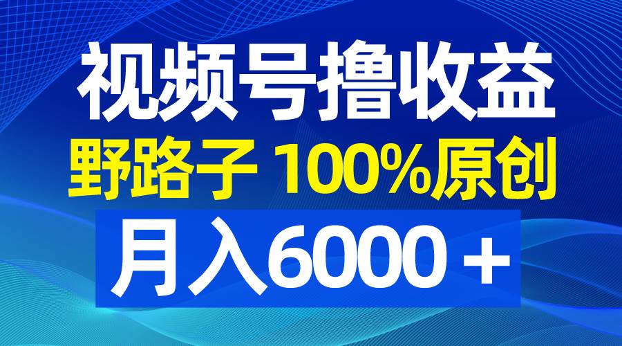 视频号野路子撸收益，100%原创，条条爆款，月入6000＋-云阁资源网