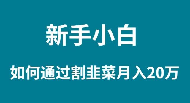 新手小白如何通过割韭菜月入 20W-云阁资源网