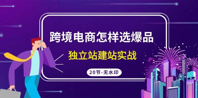 跨境电商怎样选爆品，独立站建站实战（20节高清无水印课）-云阁资源网