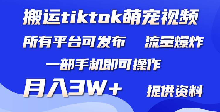 搬运Tiktok萌宠类视频，一部手机即可。所有短视频平台均可操作，月入3W+-云阁资源网
