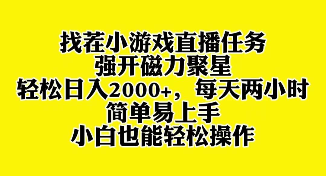 找茬小游戏直播，强开磁力聚星，轻松日入2000+，小白也能轻松上手-云阁资源网