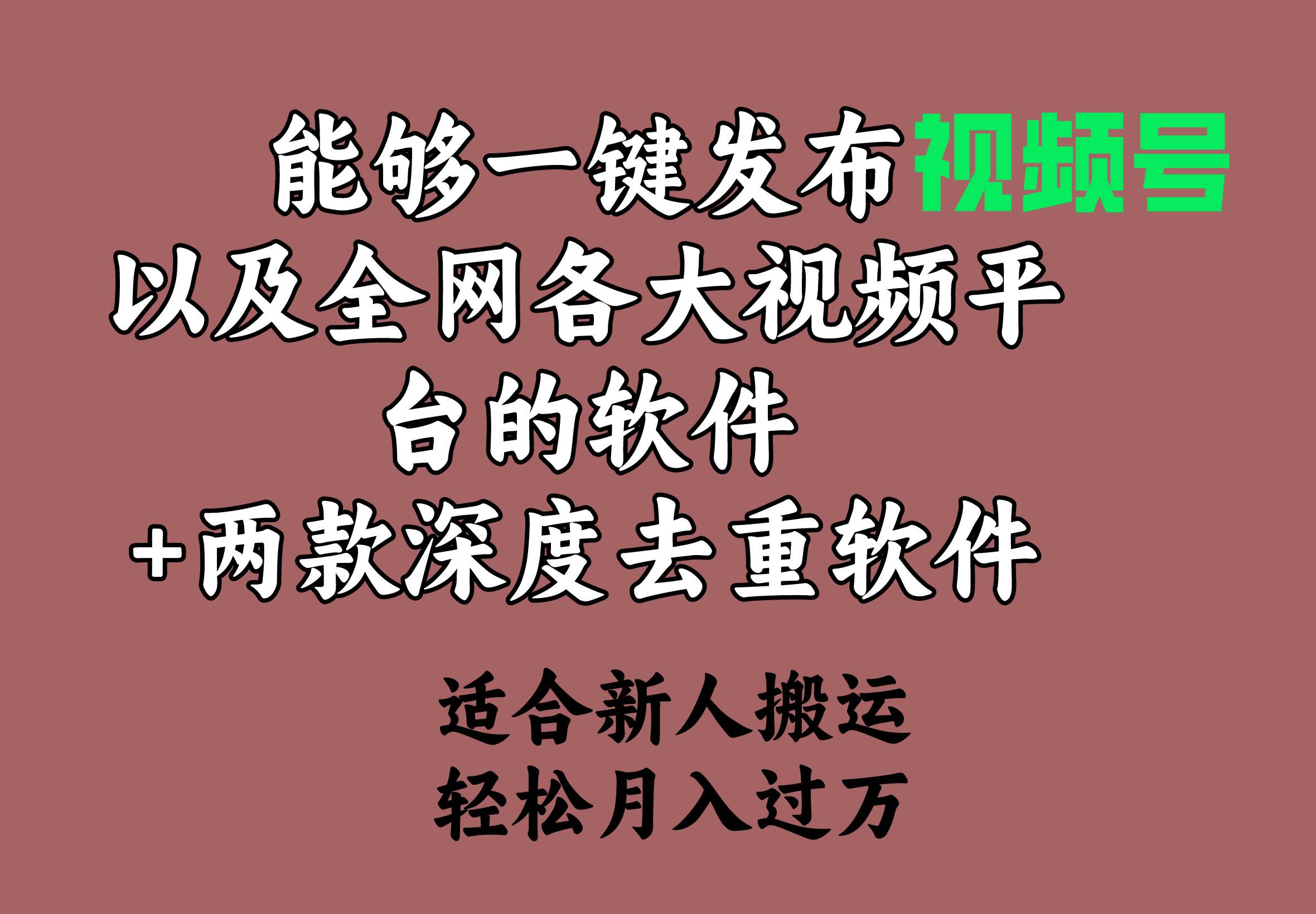 能够一键发布视频号以及全网各大视频平台的软件+两款深度去重软件 适合…-云阁资源网