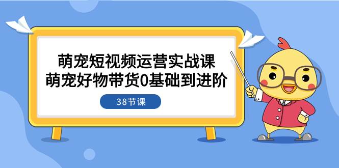 萌宠·短视频运营实战课：萌宠好物带货0基础到进阶（38节课）-云阁资源网